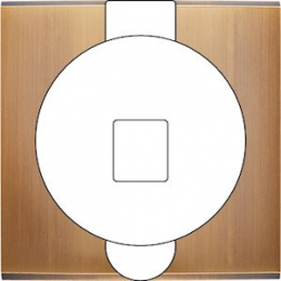 Placa de interrutor...