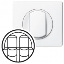 Calota Céliane para ficha...