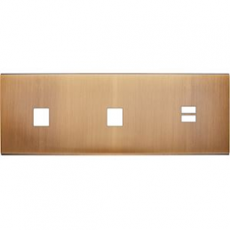 Placa del interruptor...