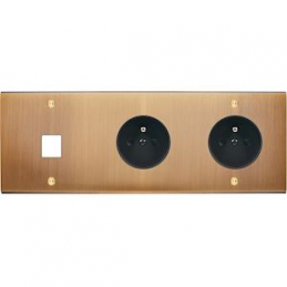 Placa de interrutor...