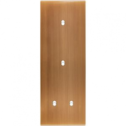 Façade Confidence laiton...