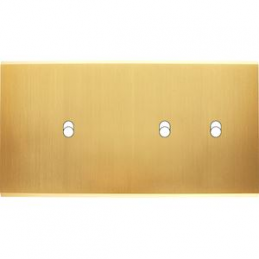 Placa de interrutor...