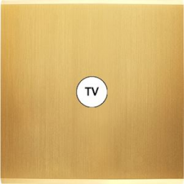 Façade Confidence laiton...