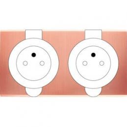 Placa del interruptor...