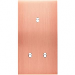 Placa de interrutor...