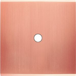 Placa de interrutor...