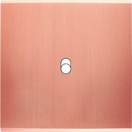 Placa del interruptor...