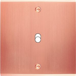 Façade Confidence laiton...