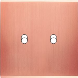 Façade Confidence laiton...