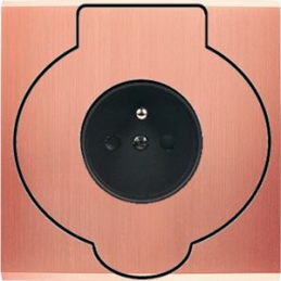 Placa del interruptor...