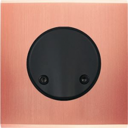 Placa de interrutor...