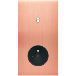 Placa de interrutor...