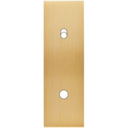 Placa de interrutor...