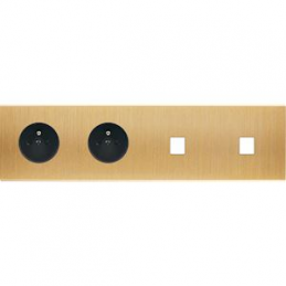 Placa del interruptor...