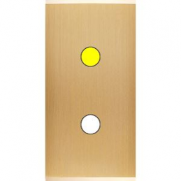 Placa de interrutor...