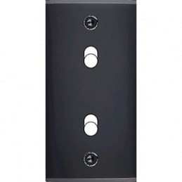 Placa del interruptor...