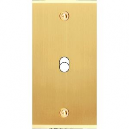 Placa de interrutor...