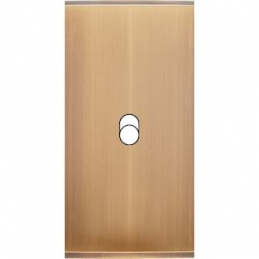 Placa del interruptor...