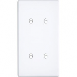 Placa del interruptor...