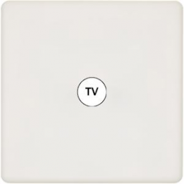 Placa del interruptor...