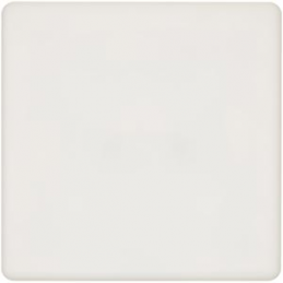 Switch plate Hitera white...