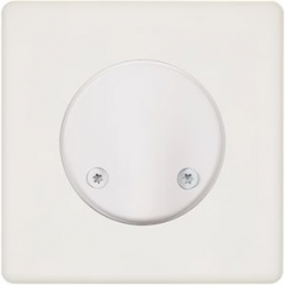 Placa del interruptor...