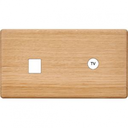 Placa del interruptor...