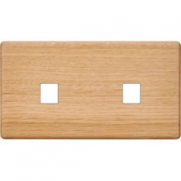 Placa del interruptor...