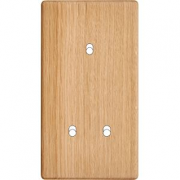 Placa del interruptor...