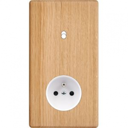 Placa del interruptor...