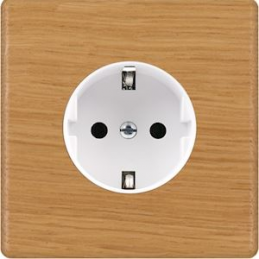 Placa del interruptor...