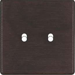 Placa del interruptor...