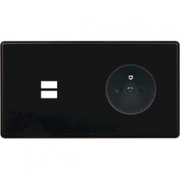 Placa del interruptor...