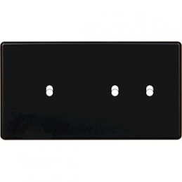 Placa del interruptor...