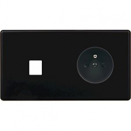 Placa del interruptor...