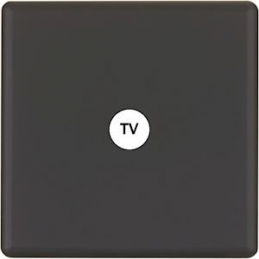 Placa del interruptor...