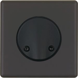 Placa del interruptor...