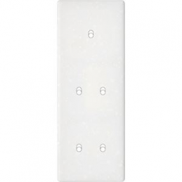 Placa de interrutor Hitera...