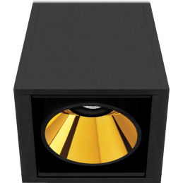 Black Foster Surface 1 luz...