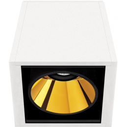 Black Foster Surface 1 luz...