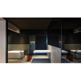 Shot Light M encastrado 2...