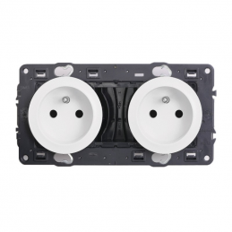 Plug 2x2P+T standard...