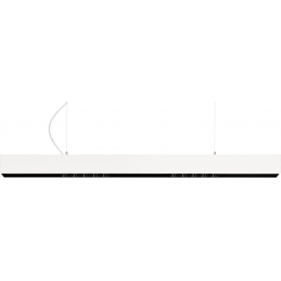 Black Foster suspensión...