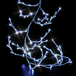 Végétale-branche à...