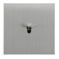 Epure - brushed steel