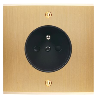 Switch plate Confidence brushed brass screw
