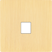 Front panel M - brushed brass