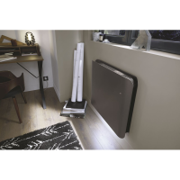 Radiateur à inertie