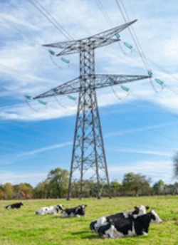 Quels sont Les principaux fournisseurs d'électricité en France et en Europe ?