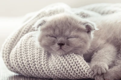 Chauffage et économies d'énergie